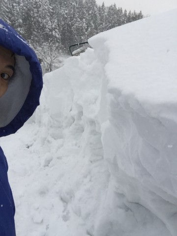 雪おろし