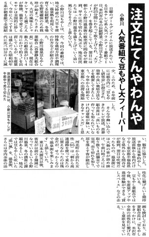 豆もやし