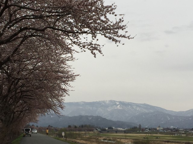 松川河川敷