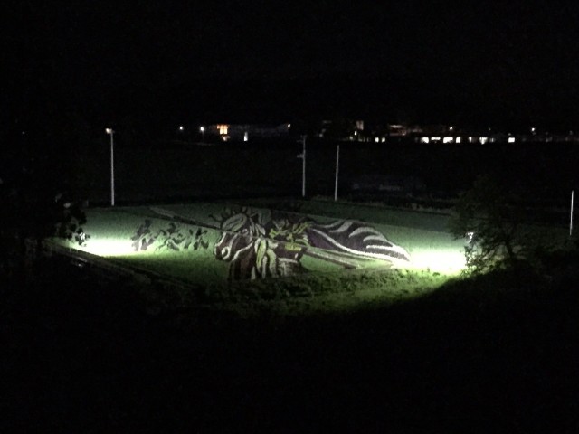 田んぼアート