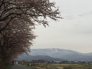 松川河川敷