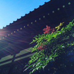 玉川寺