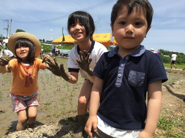 田んぼアート
