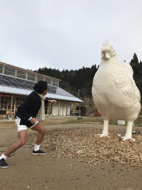 鶏助